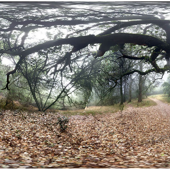2012 – Double Path Fantasy – Oakland, California