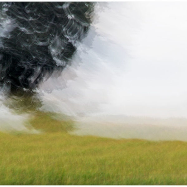 2013 – Tree Tornado – Switzerland