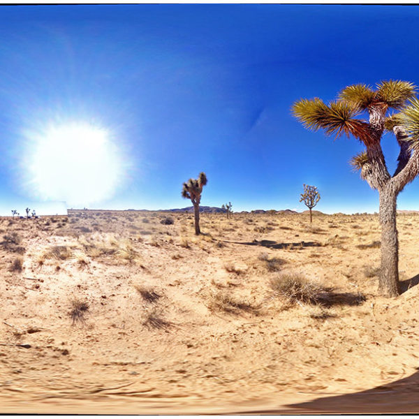 2015 – Joshua Sun – Joshua Tree National Park, California