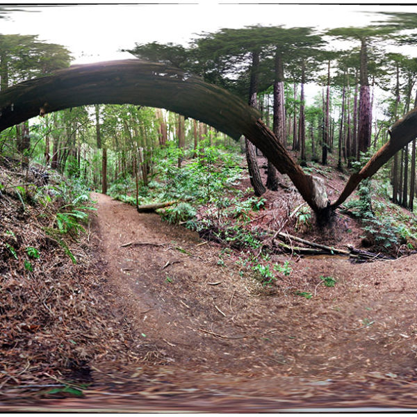 2019 – Double Arch – Oakland, California