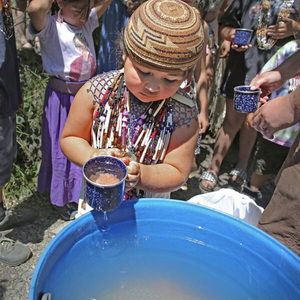 Shasta-Trinity National Forest, CA — The granddaughter of Chief Caleen Sisk holds a cup of salmon eggs she will pour into a salmon "incubator" (the blue barrel). After hatching, the juvenile salmon will swim out into the McCloud River to begin their life cycle journey. — July 11, 2022